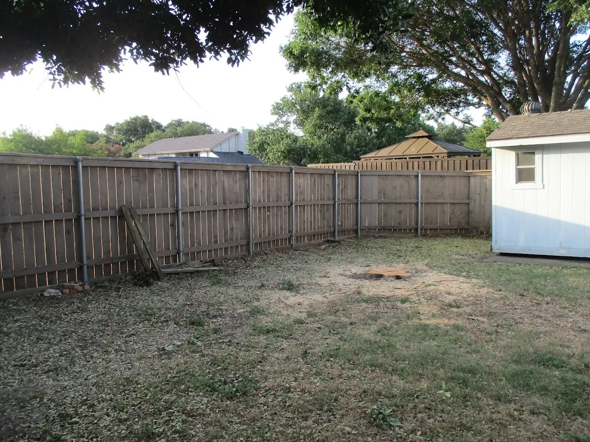 Cleared yard after professional tree removal in Warrior